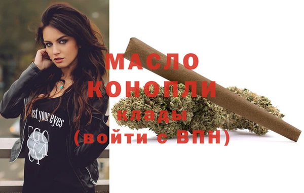 индика Сосновка