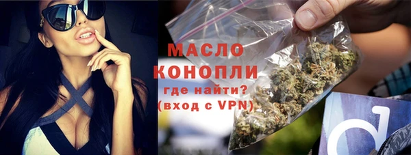 индика Сосновка