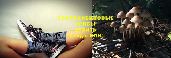 индика Сосновка