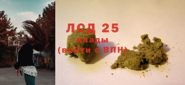 Альфа ПВП Сосновый Бор