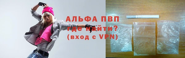 индика Сосновка