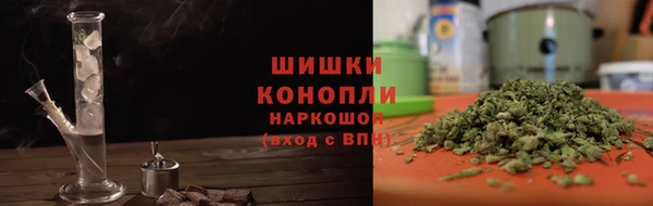 Альфа ПВП Сосновый Бор