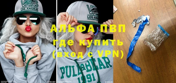 индика Сосновка