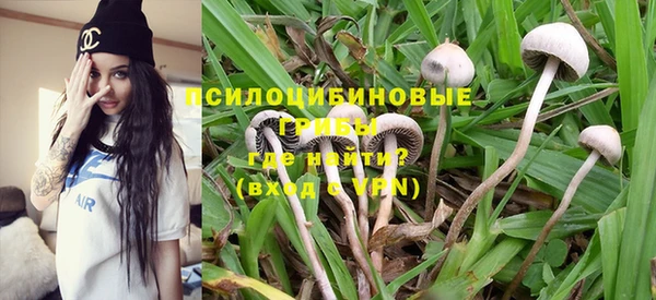 индика Сосновка