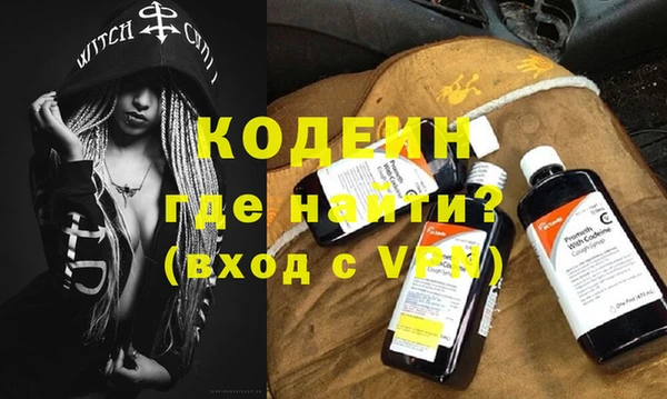 индика Сосновка