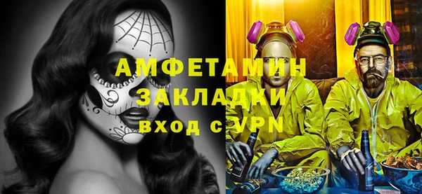 индика Сосновка