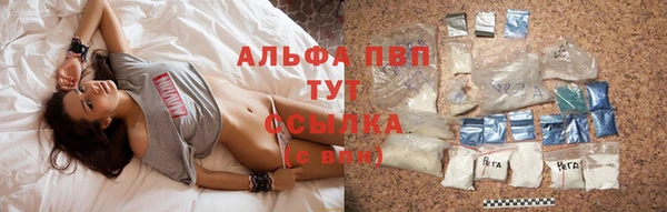индика Сосновка
