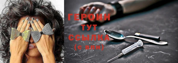 индика Сосновка
