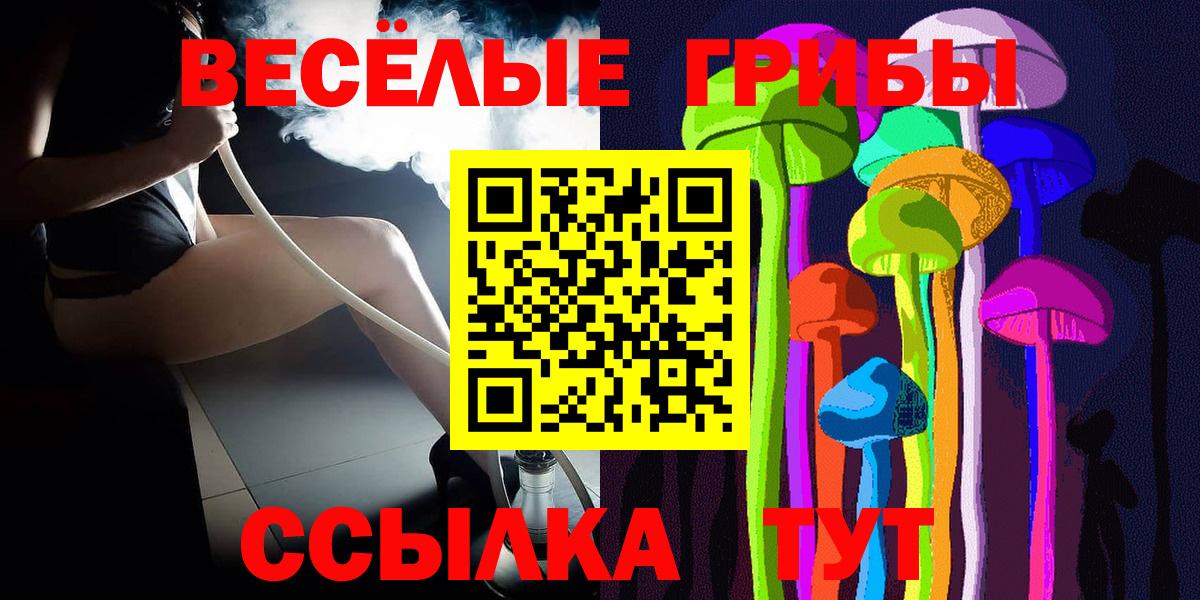 Псилоцибиновые грибы мицелий Хасавюрт