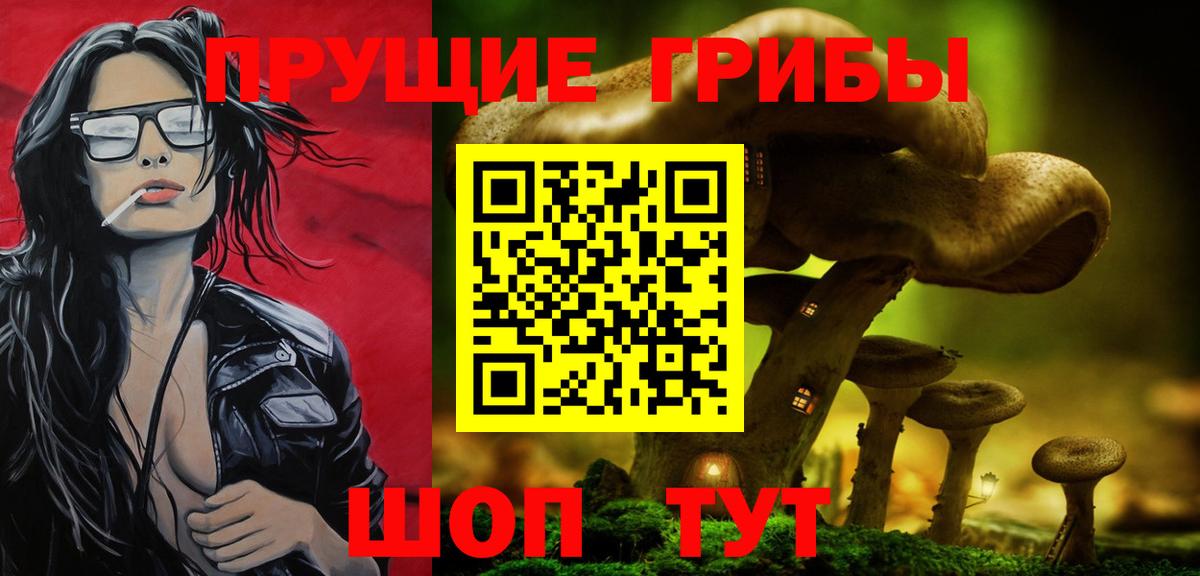 Хасавюрт  Галлюциногенные грибы Psilocybine cubensis  Вход с VPN  Галлюциногенные грибы мухоморы 