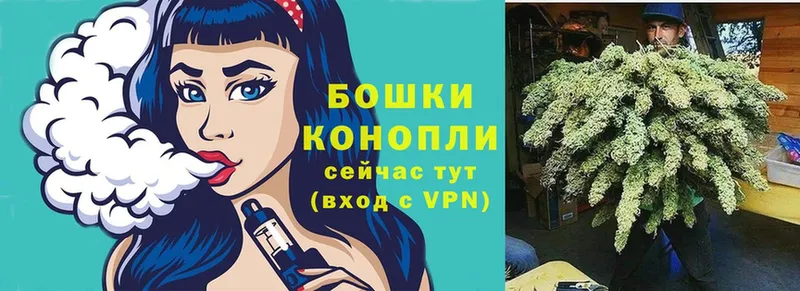 Конопля план  Хасавюрт 